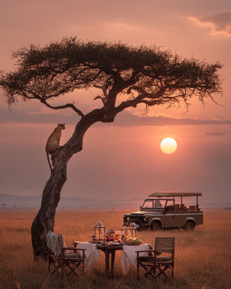 Iconic acacia trees silhouetted on the Serengeti plain