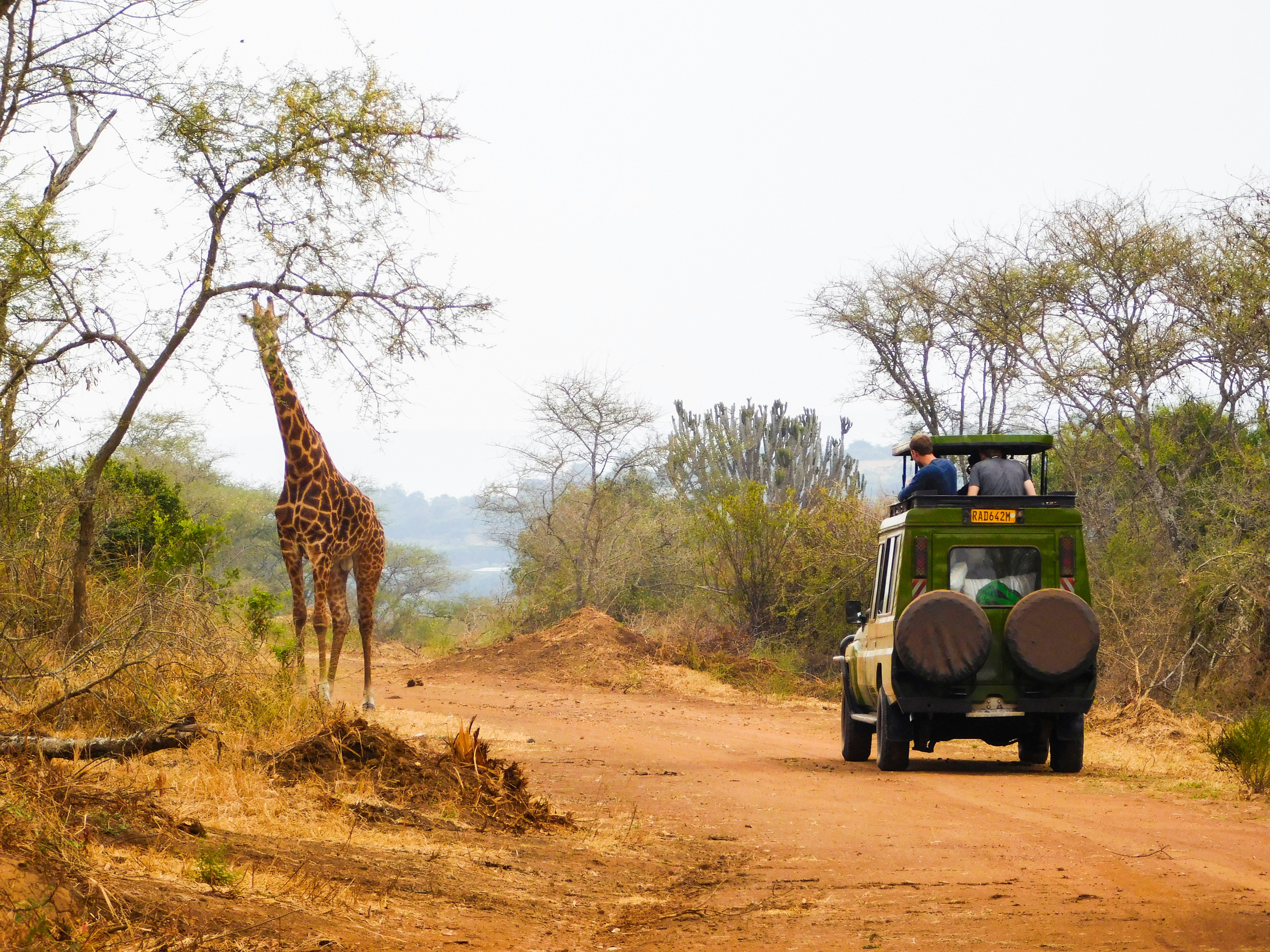 Safari vehicle in Queen Elizabeth National Park, Uganda