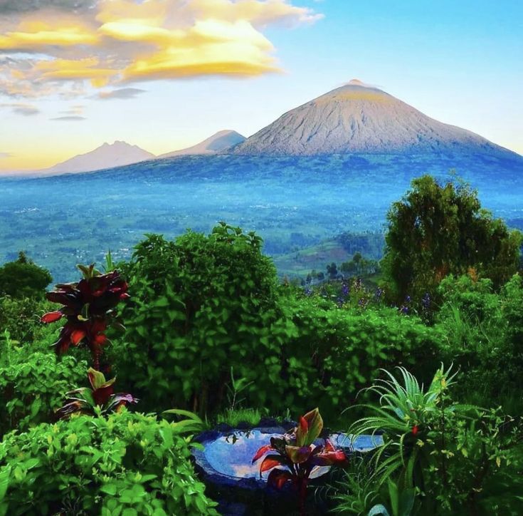 Sunrise mist over the Virunga volcanoes, Rwanda